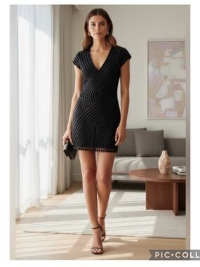 Parker Fabiana Black Faux Leather Trim Mesh Bodycon V-Neck Mini Dress Size XS